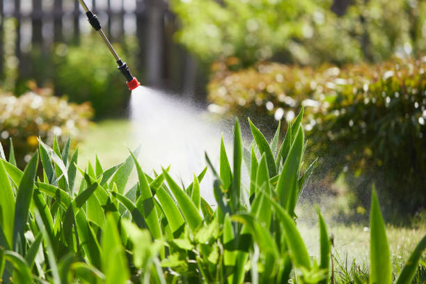 24/7 Emergency Mosquito Control experts in Riverside, UT